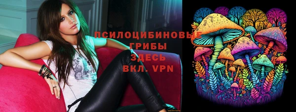 амф Заводоуковск