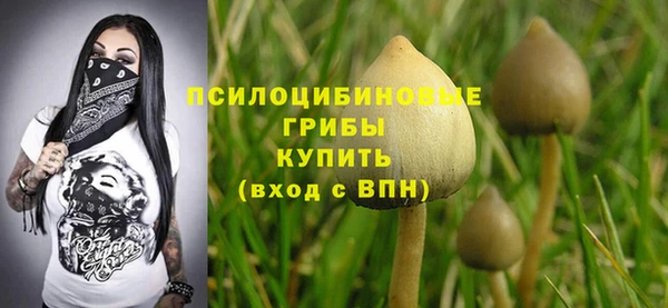 соль ск Заволжск
