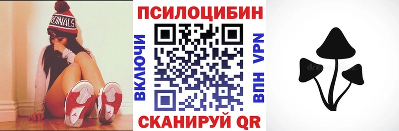 OMG вход  Луза  Псилоцибиновые грибы мицелий 